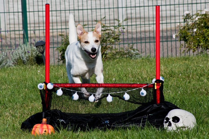 Bild aus dem Training